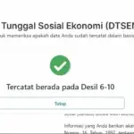 Cara Cek Desil 1 Sampai 10 Lewat Google Secara Online di HP