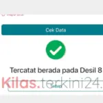 Cek Desil di Link dtsen-form.web.bps.go.id 2026 Lewat Google di HP