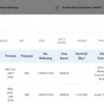 Exclude PBI JK Karena Memiliki Kendaraan Roda 4